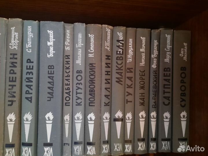 Книги из серии жзл