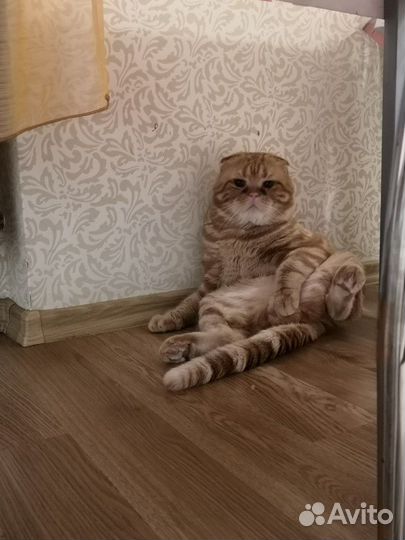 Ждём на вязку