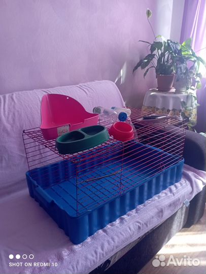 Клетка для кроликов и морских свинок