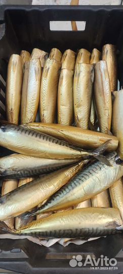 Скумбрия холодного копчения