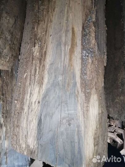 Мореный дуб, древесина для элитной мебели