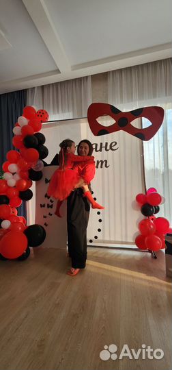 Декор леди баг и баннер