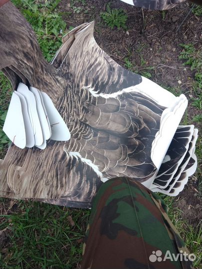 Профеля гусей