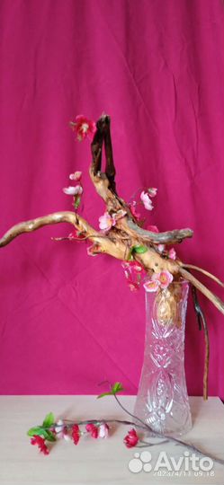 Коряги, корни, ветки