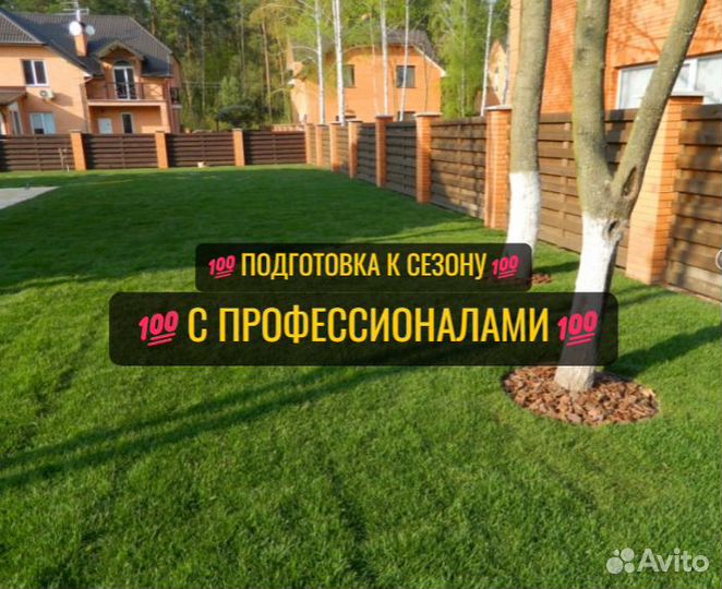 Рулонный газон Краснодар Питомник под ключ