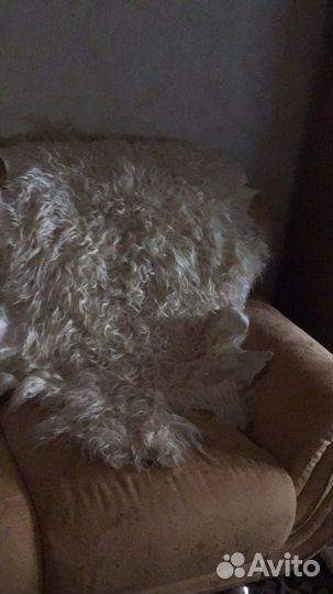 Две шкуры выделанные ягненка новые