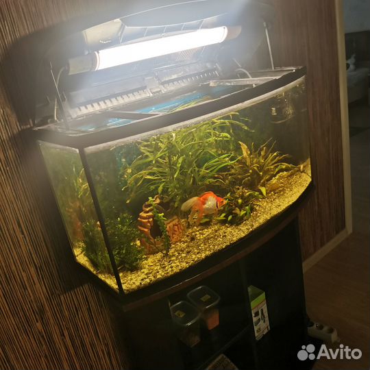Аквариум с тумбой