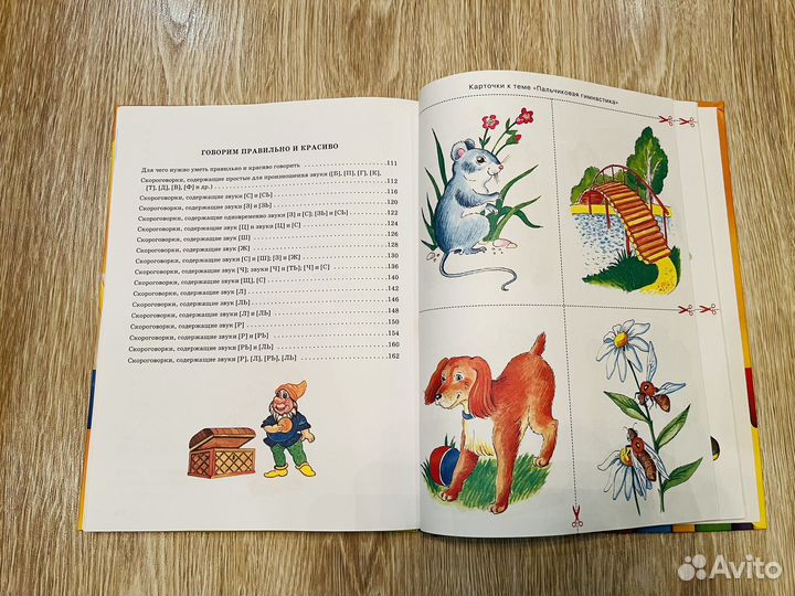 Книга уроки логопеда