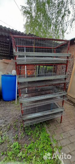 Клетки для перепелов бу