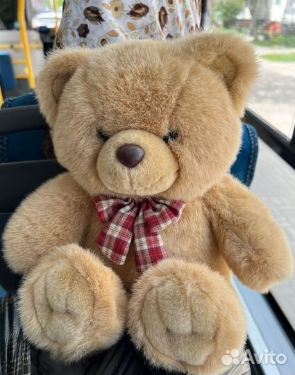 Плюшевый медведь Aurora