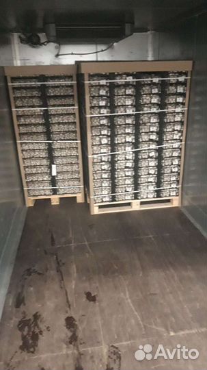 Грузоперевозки Газель рефрижератор