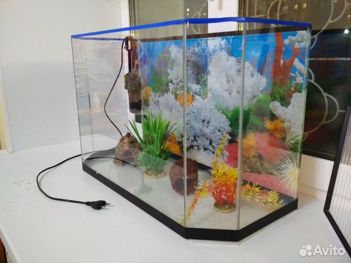 Аквариум 65 л + компрессор + грунт и декорации