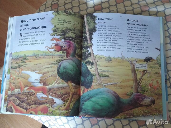 Большая энциклопедия дошкольника