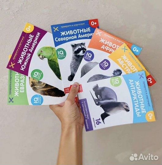 Карточки домана новые