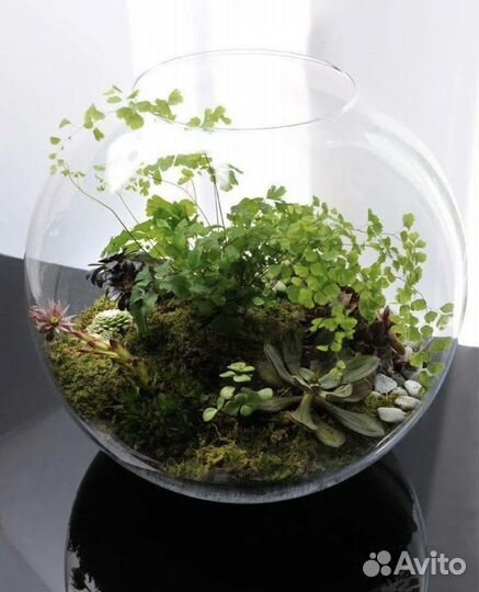 Мастер-класс по созданию флорариума