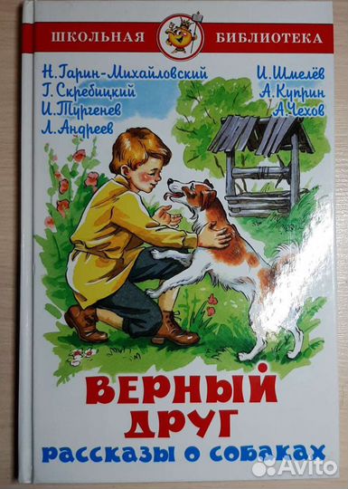 Книга для школьников