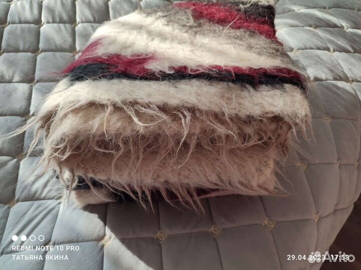 Лижник карпатский