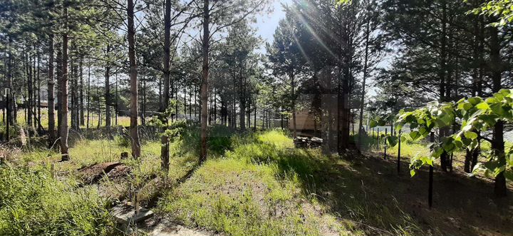 Дом 52 м² на участке 10 сот.