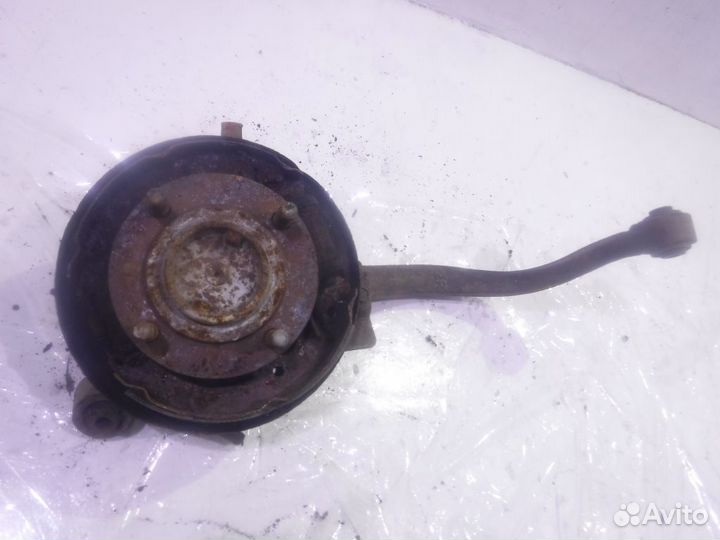 Кулак задний правый