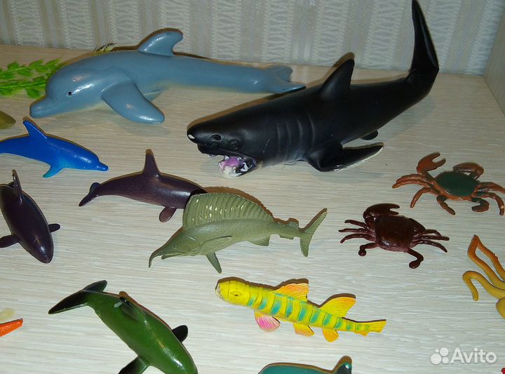 Насекомые и геккон