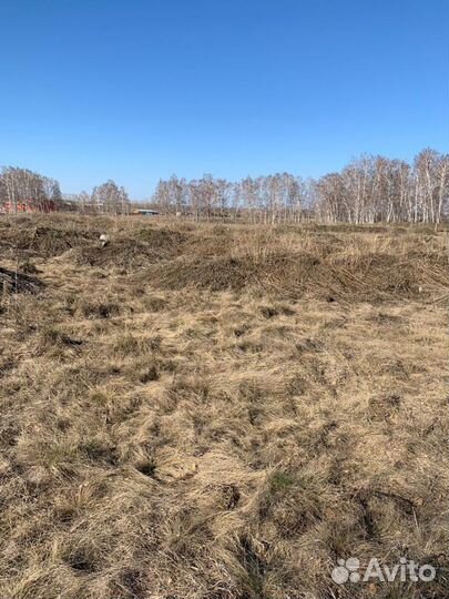 Грунт земля