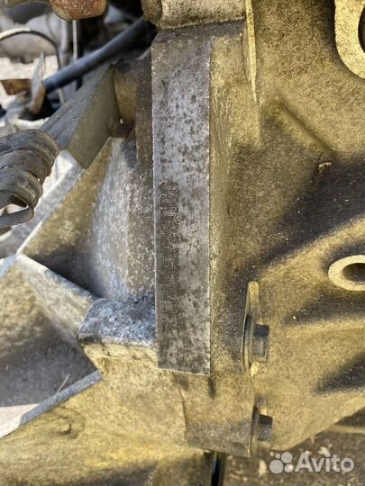 Двигатель qqdb Ford Focus qqdb-8A36041