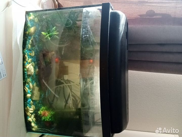 Аквариум с рыбками