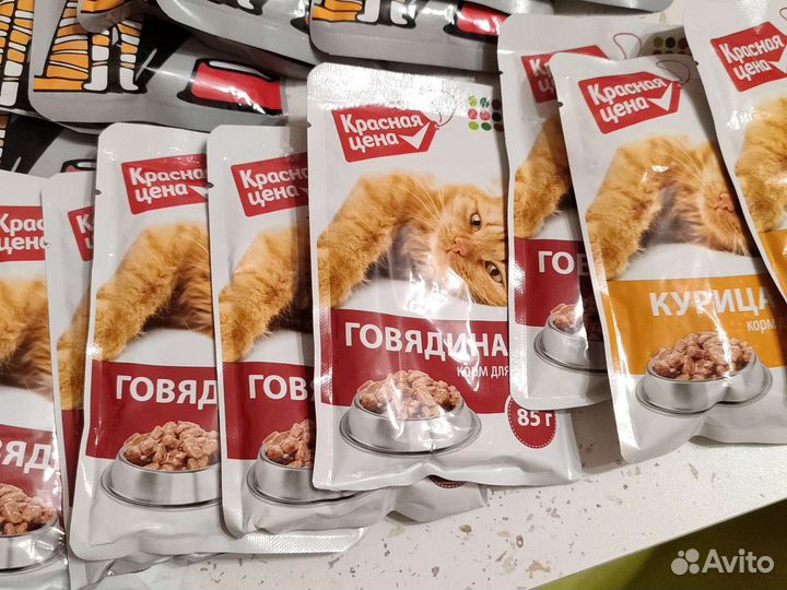 Влажный корм для кошек