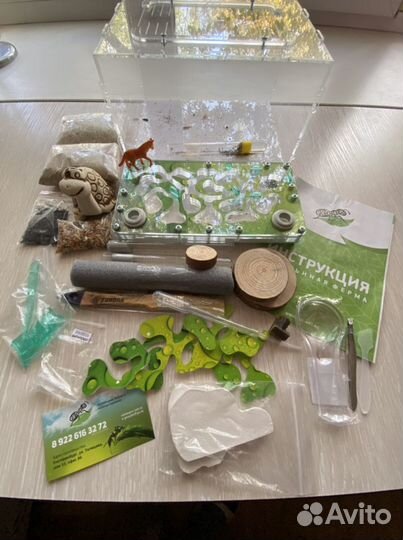 Муравьиная ферма