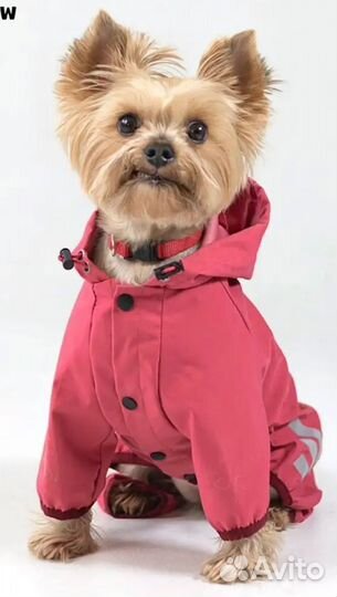 Продам комбинезон дождевик для собаки