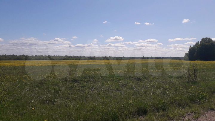 Участок 15 сот. (ИЖС)