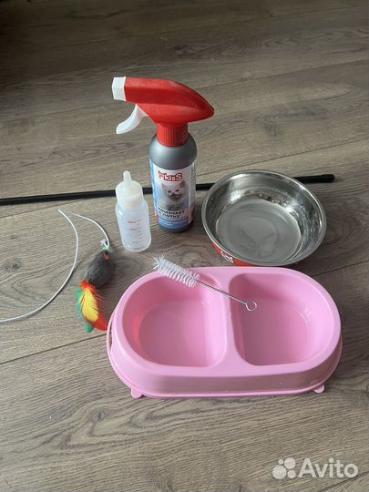 Набор для котят