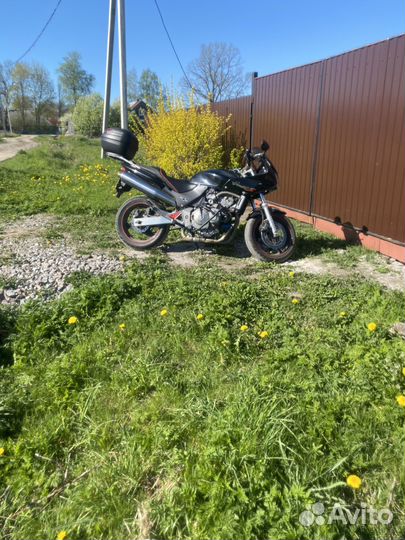 Продам Хорнет