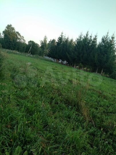 Участок 30 сот. (ИЖС)