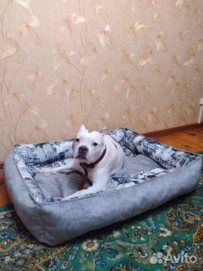 Лежанки больших размеров