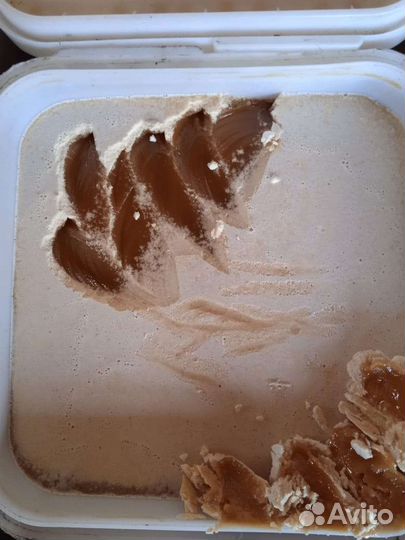 Мед гречишный 2023