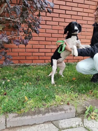 Совсем крошка