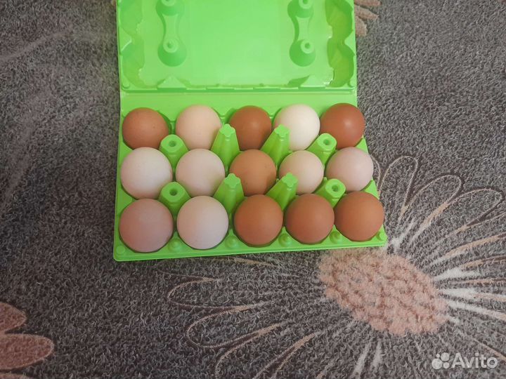 Яйцо куриное, домашнее, деревенское 13 руб/шт