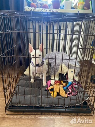 Клетки для собак и кошек Клетка для собаки