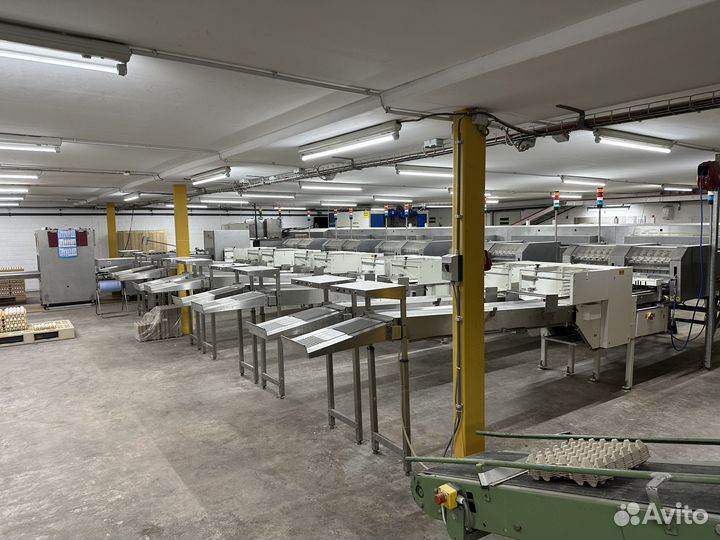 Яйцесортировочная машина Staalkat Selecta 12