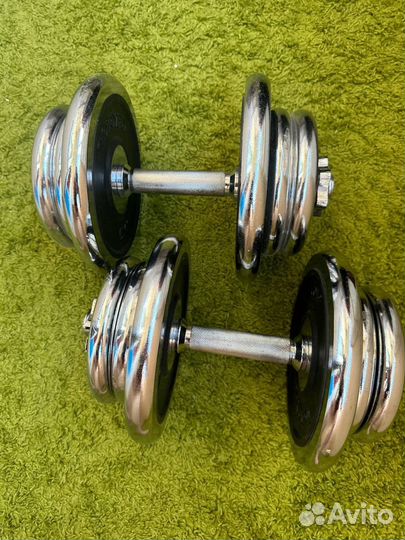 Гантели разборные 20 кг
