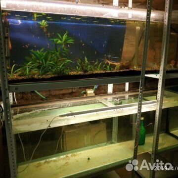 Аквариумы из оргстекла от 100л до 500л