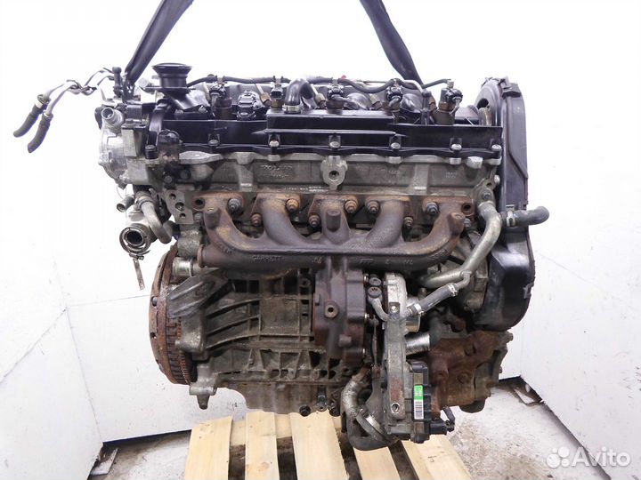 Клапан егр EGR для Volvo V50 1 31219248