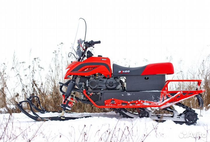 Снегоход Irbis Dingo / Ирбис Динго T200