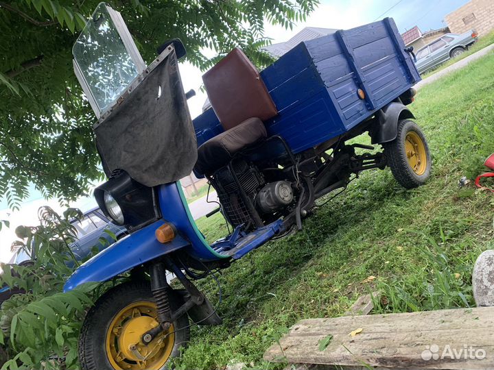 Муравей мотороллер