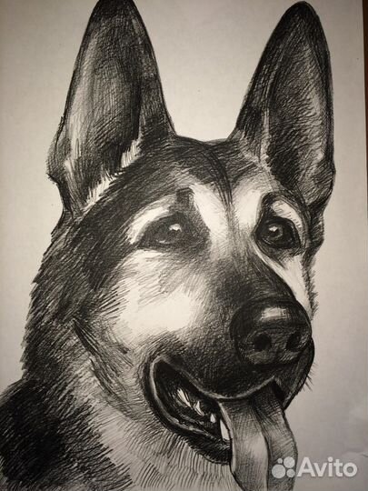 Картины, портреты, шаржи