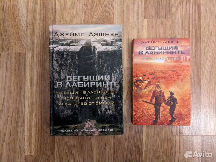 Книги Бегущий в Лабиринте