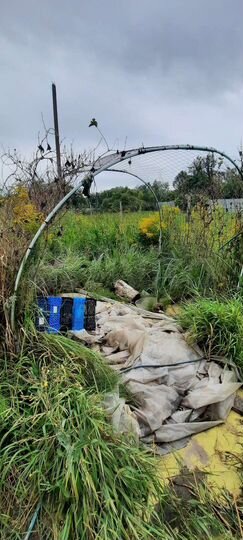 Участок 8 сот. (ИЖС)