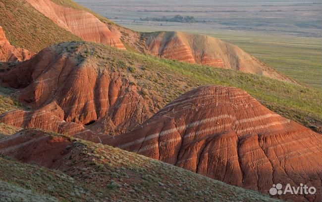 Автобусный тур Волгоград-Астрахань-Элиста 28 июля