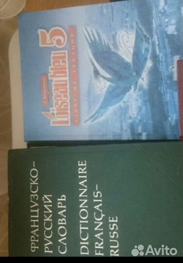 Словарь и книга для чтения, французский